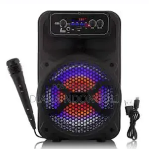 *Amtec Speaker With Microphone