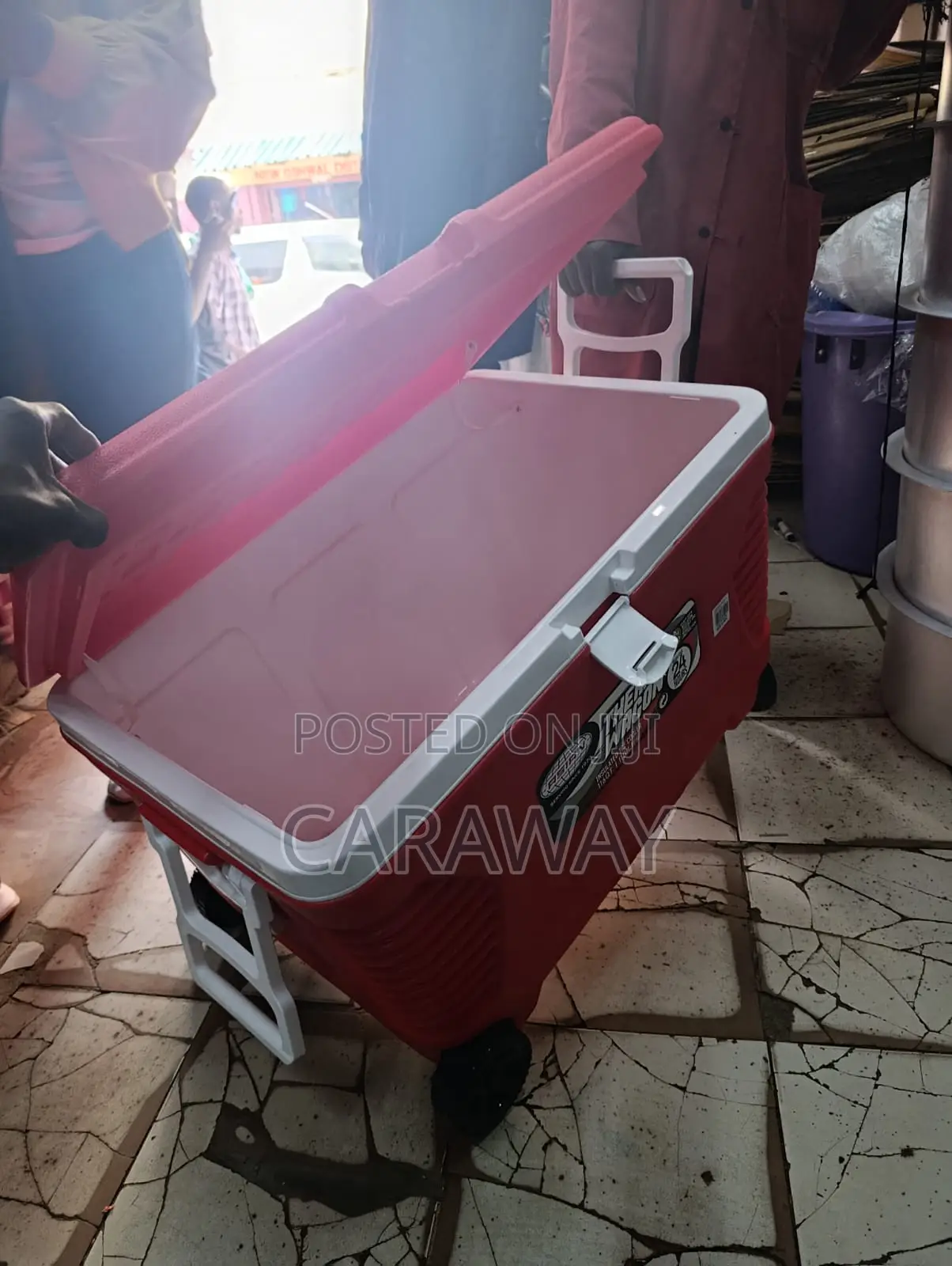 Marina Cooler Box 5.5l And Large Cooler Boxes
