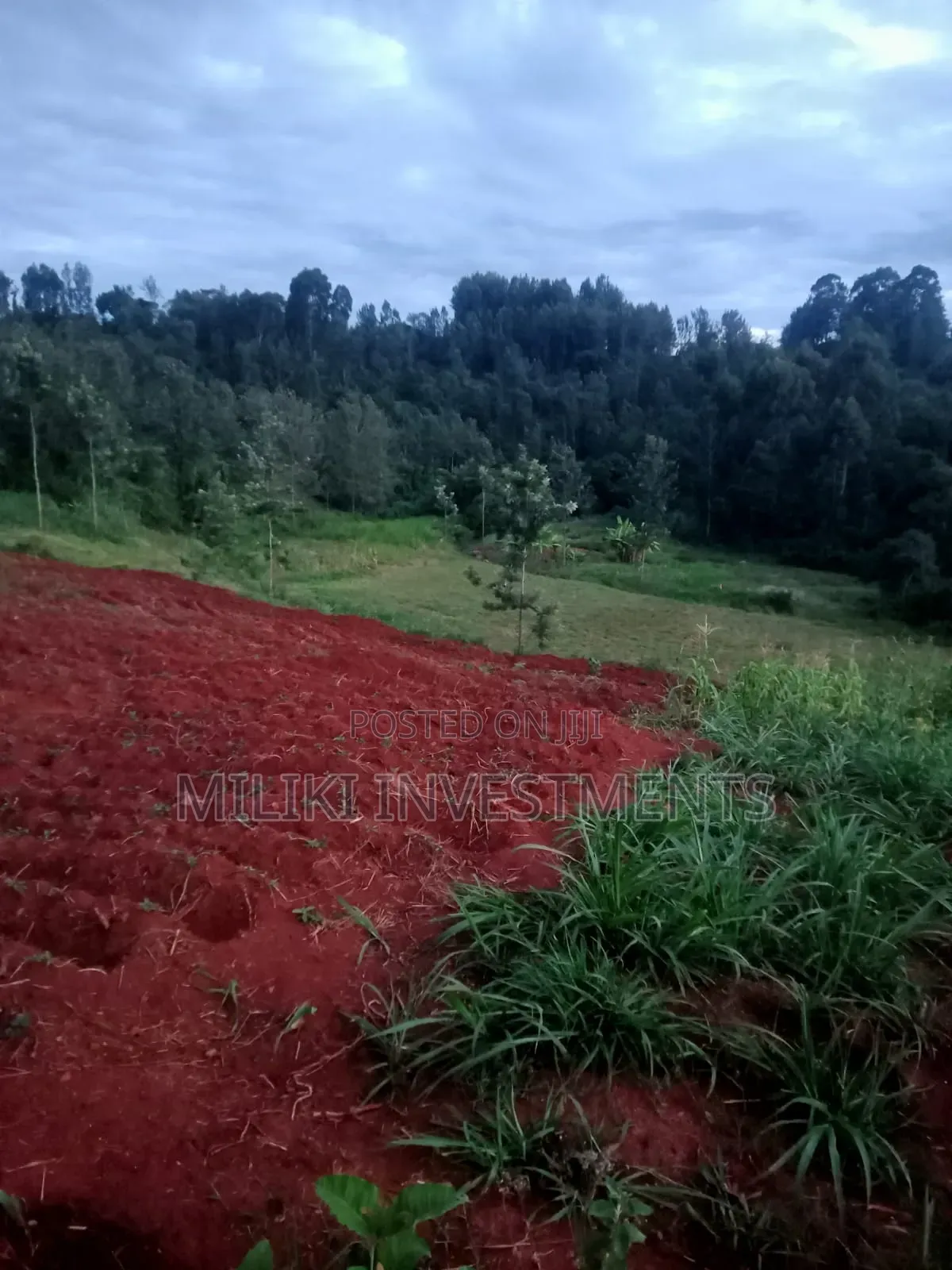 4 Acres on Sale-Kiharu