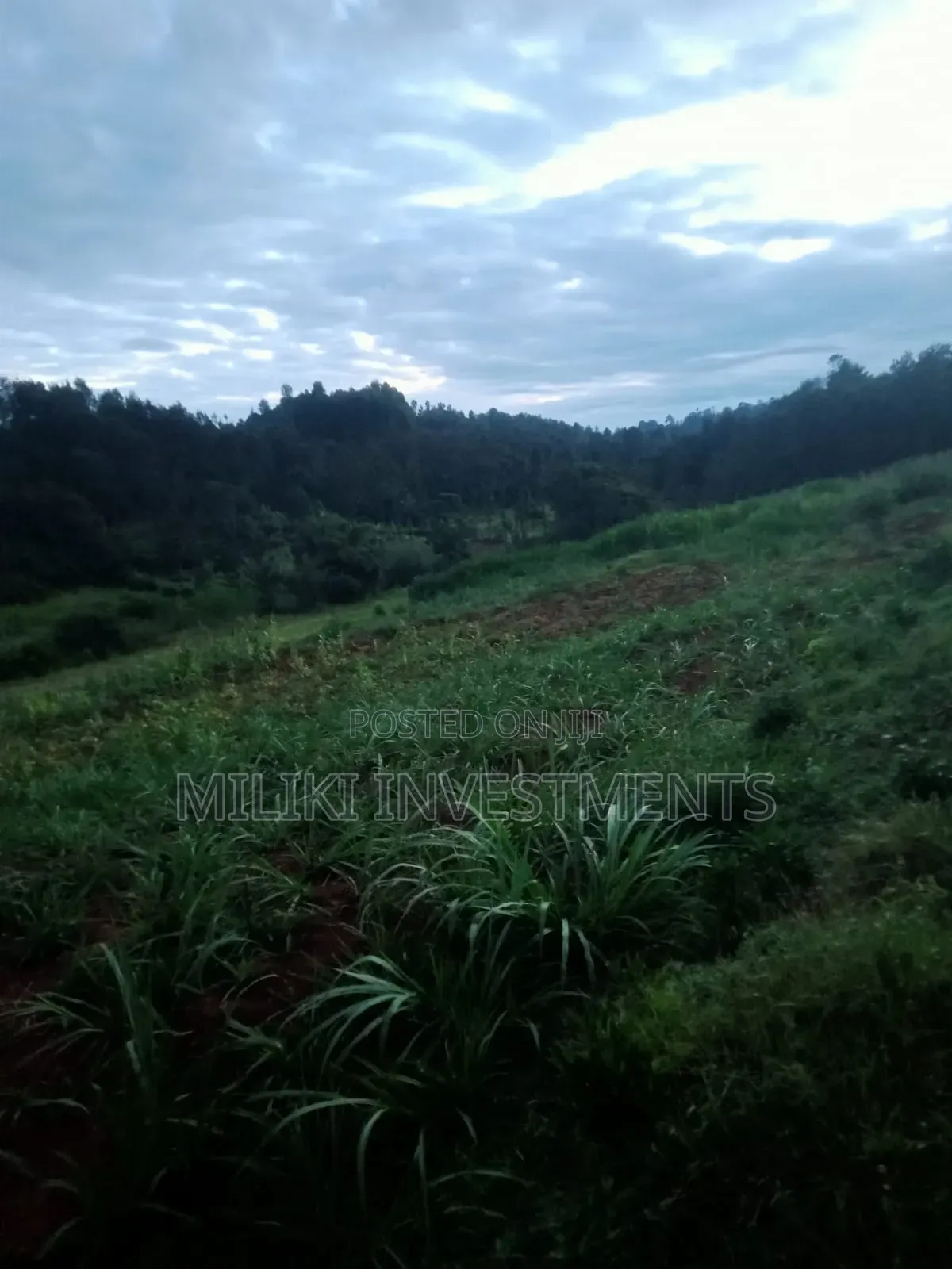 4 Acres on Sale-Kiharu