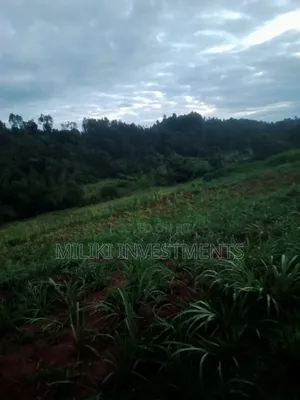 4 Acres on Sale-Kiharu