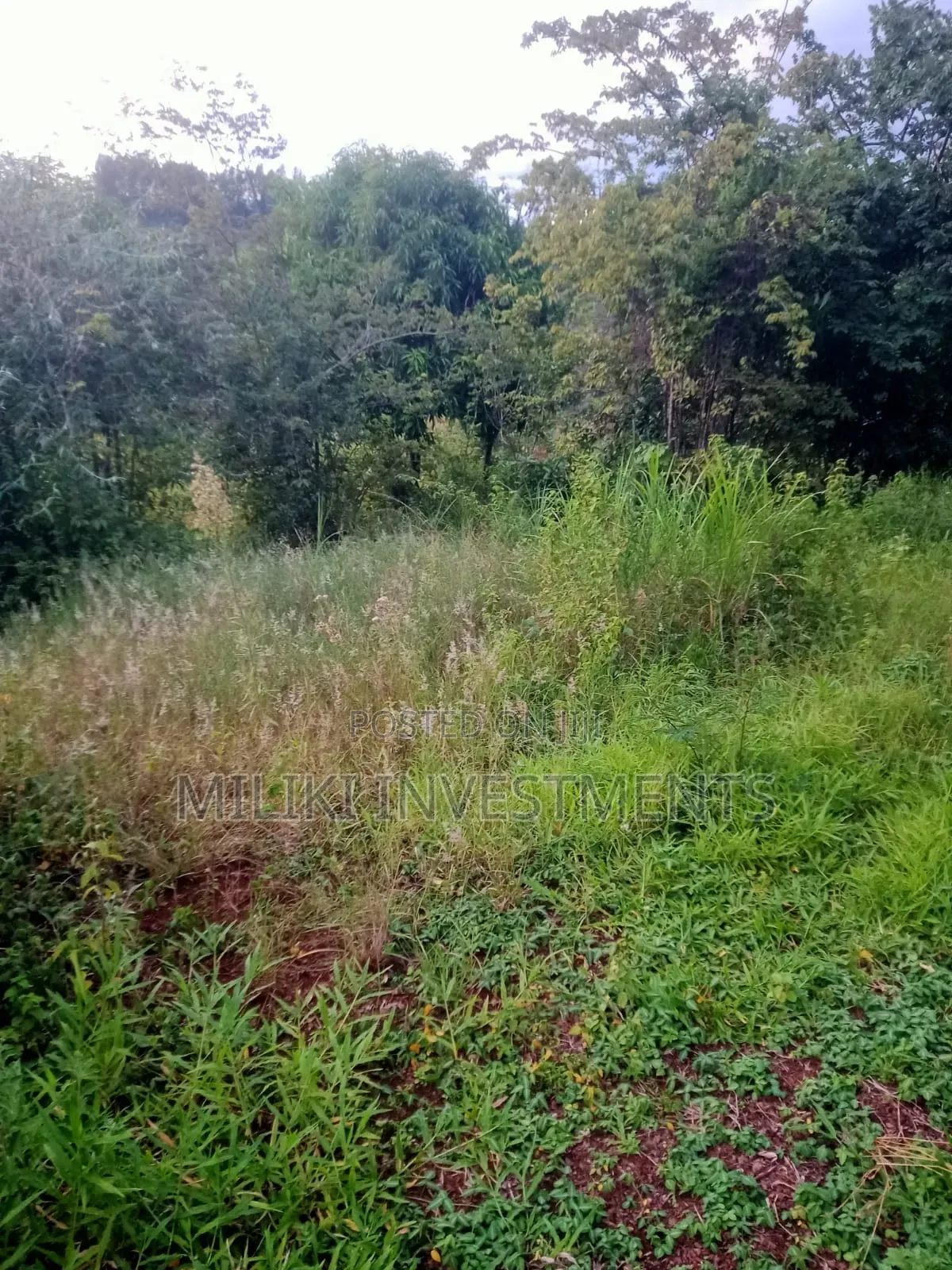 2.4 Acres on Sale at Mukangu-Kiharu