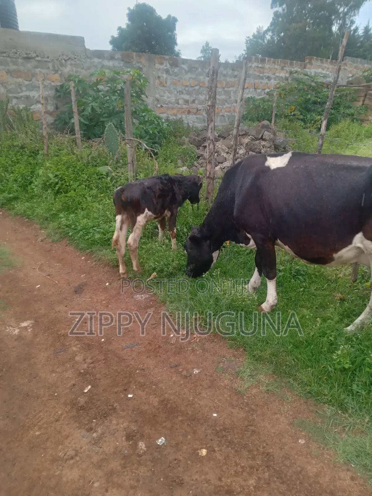 1⁄2 Acre Piece of Land in Langa Gilgil