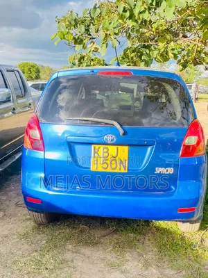 Toyota Corolla Spacio 2006 Blue