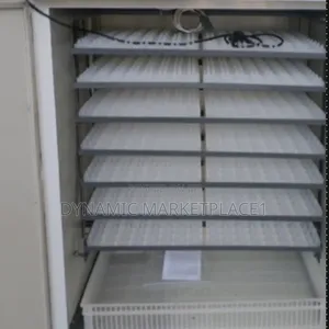 64 Eggs Automatic Incubator
