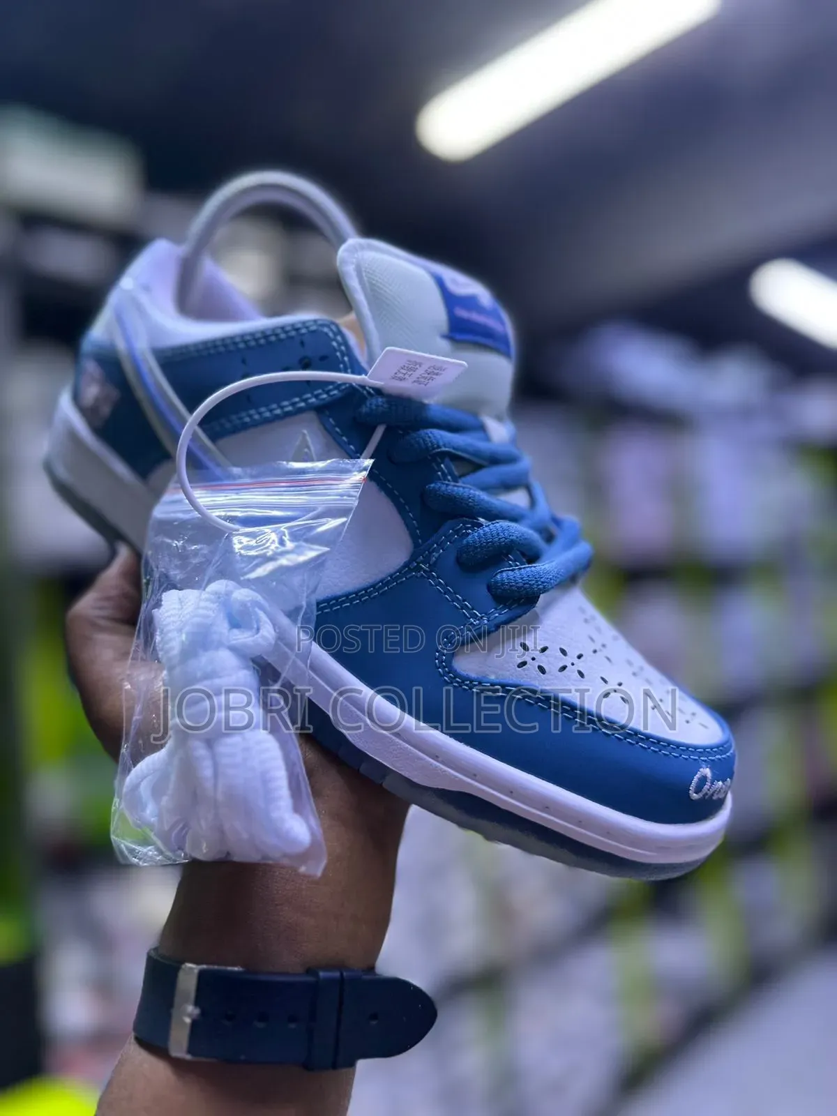 Nike Sb Born and Raised Sneakers