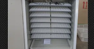 1056 Eggs Incubator
