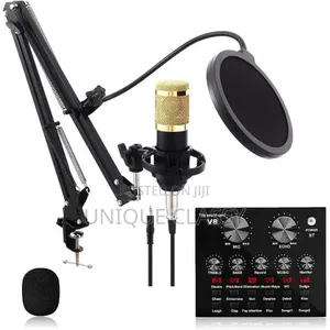 Studio Microphone