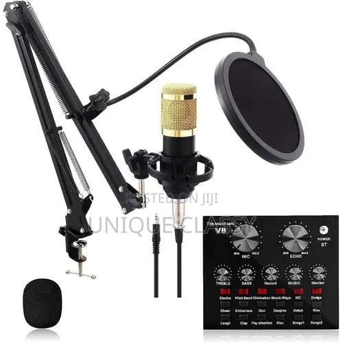 Studio Microphone - main view