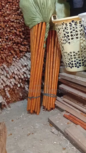 Mops and Brushes