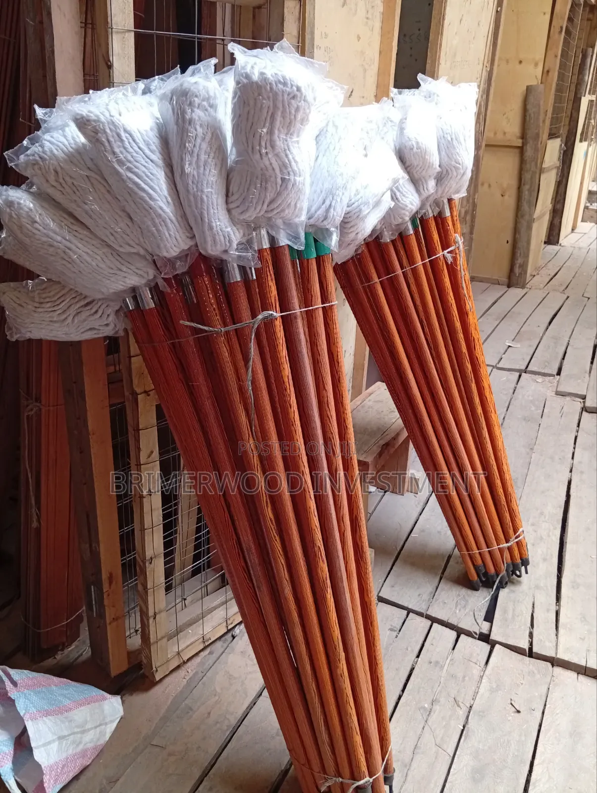 Mops and Brushes