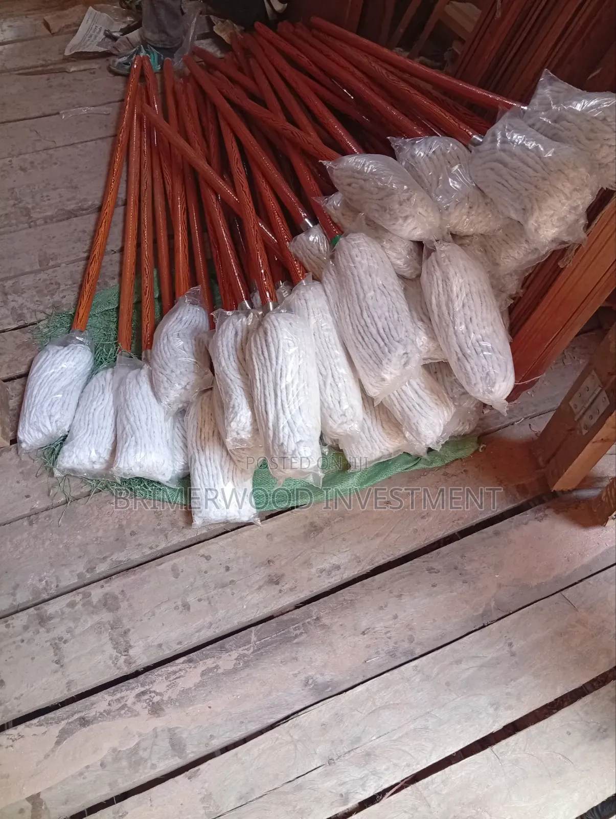 Mops and Brushes