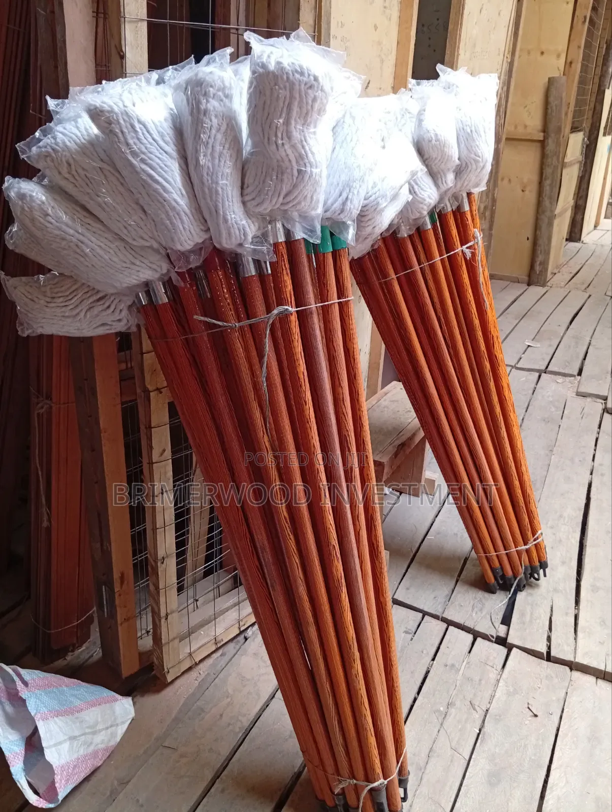 Mops and Brushes