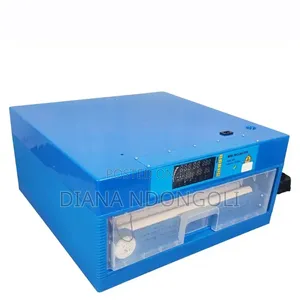 64 Eggs Automatic Incubator