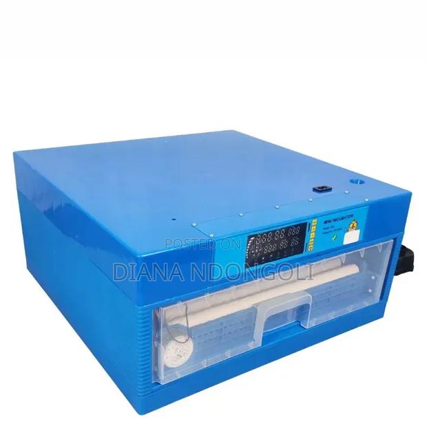 64 Eggs Automatic Incubator