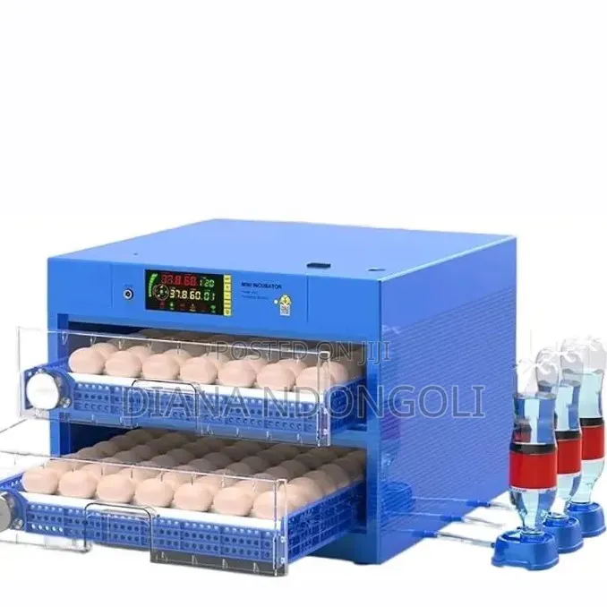 64 Eggs Automatic Incubator