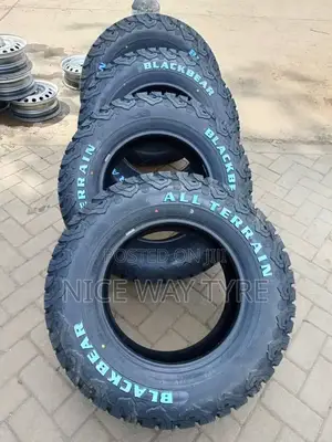 265/65r17 Blackbear