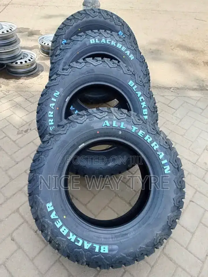 265/65r17 Blackbear