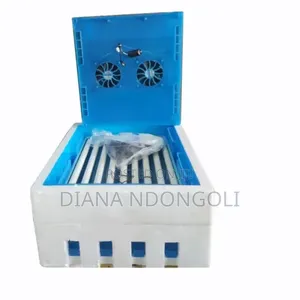 128 Eggs Automatic Incubator