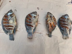 Professional Cook Services Available