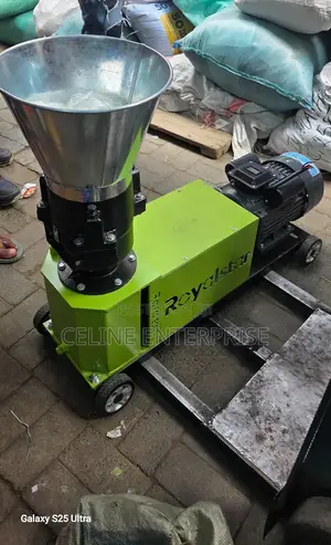 Palletizer Machine Royalstar