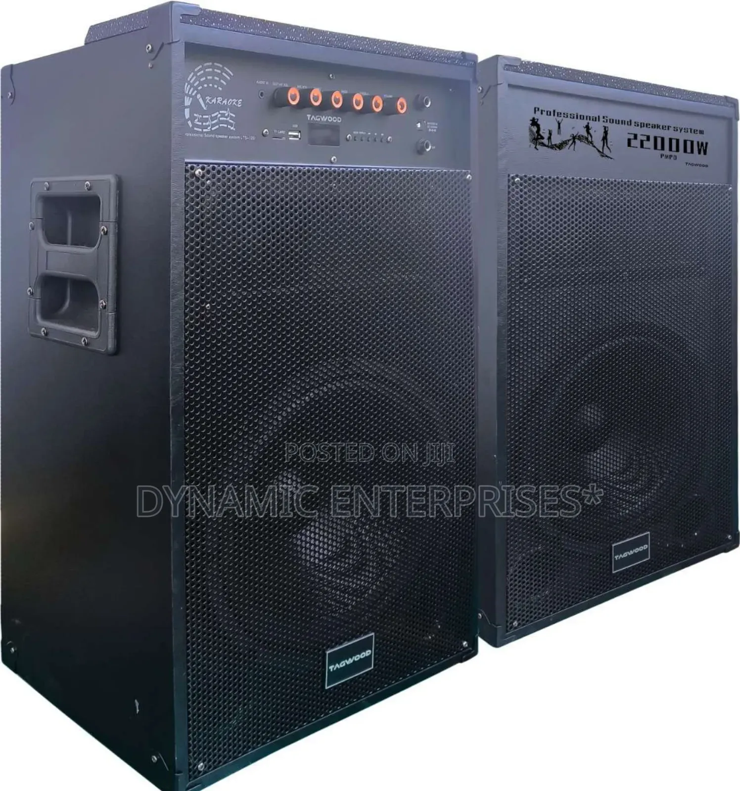 6*Tagwood 12d Comes as a Pair Has Two Microphones