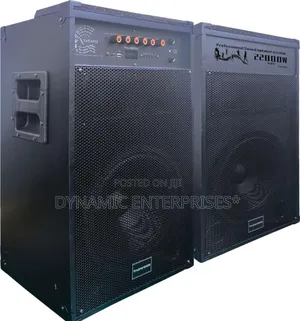 6*Tagwood 12d Comes as a Pair Has Two Microphones