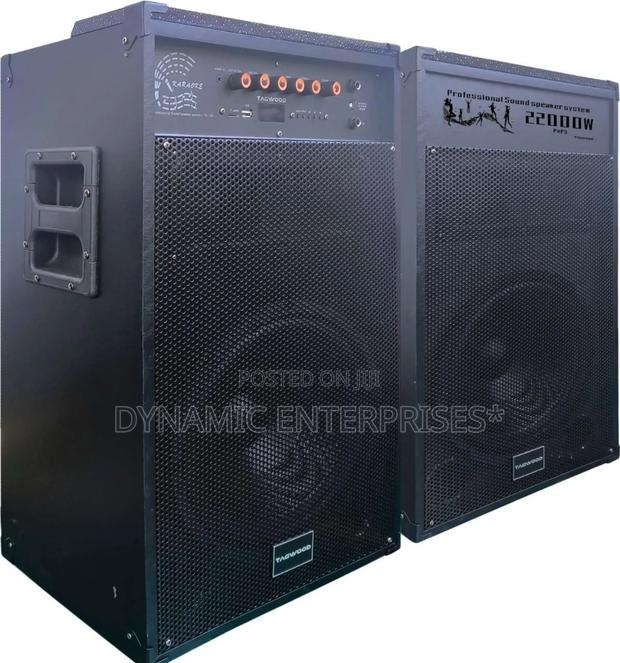 6*Tagwood 12d Comes as a Pair Has Two Microphones