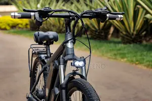 3 in 1 Electric Bicycle for Sale.