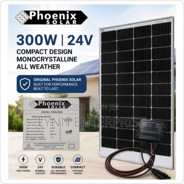 Original Phoenix Solar 300 W