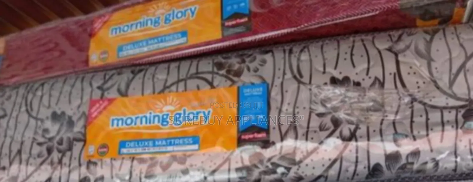 Morning Glory Medium Density 5by6 10inches Plain Mattress