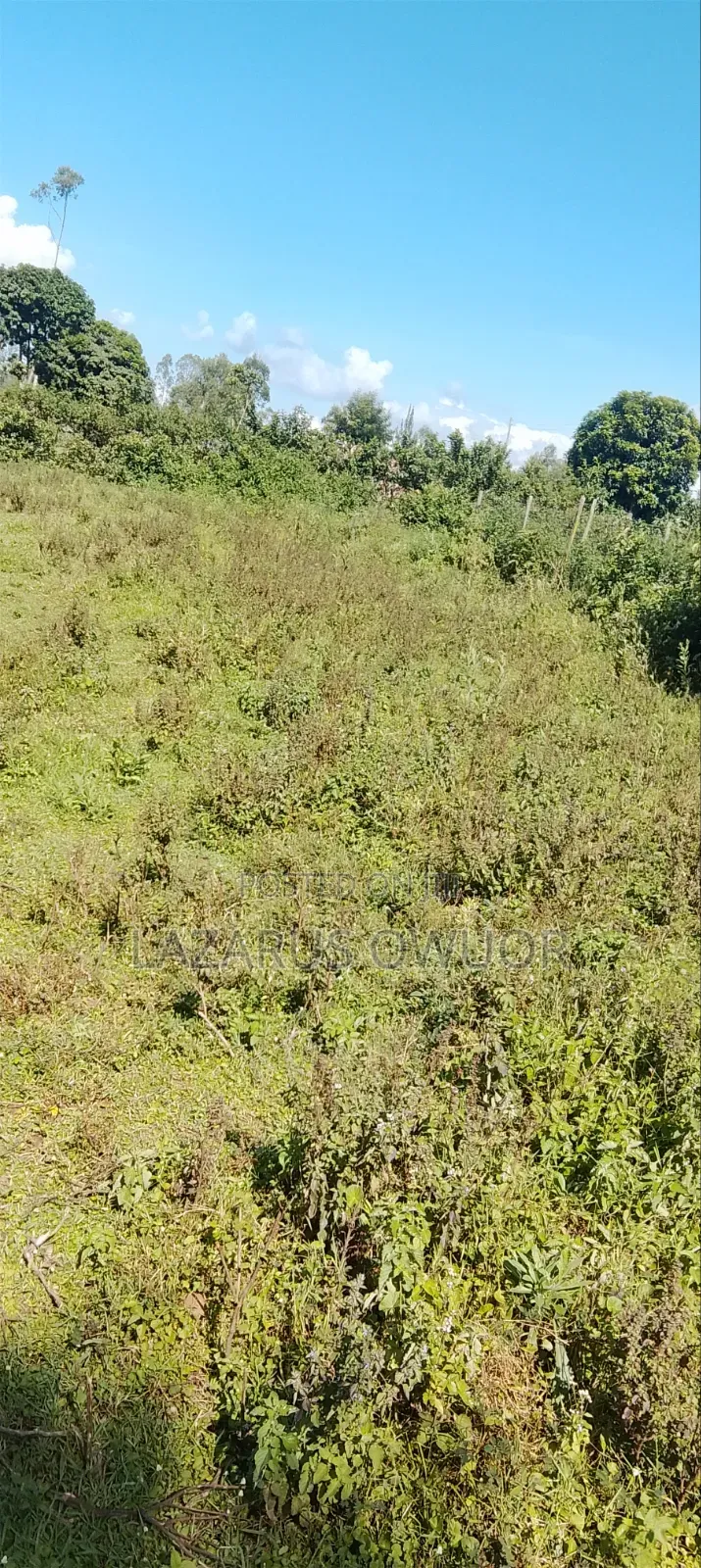 Land For Sale