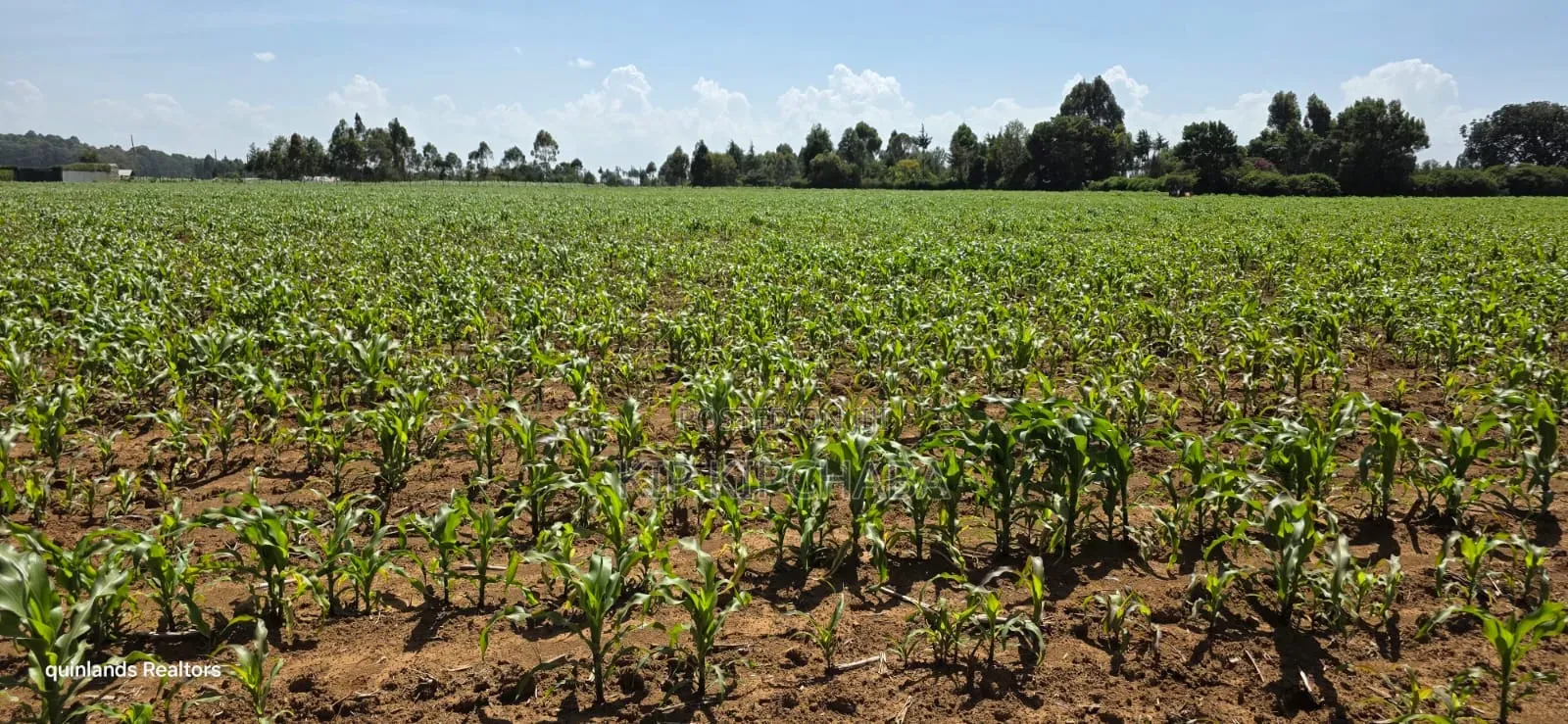 5 Acres for Sale in Illuoa Eldoret