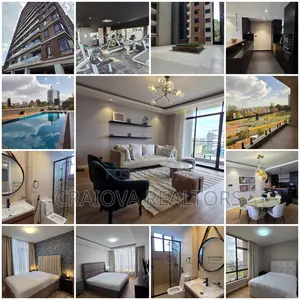 Furnished 3bdrm Apartment in Spring Valley for rent