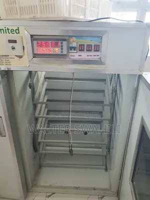 528 Eggs Incubator for Sale