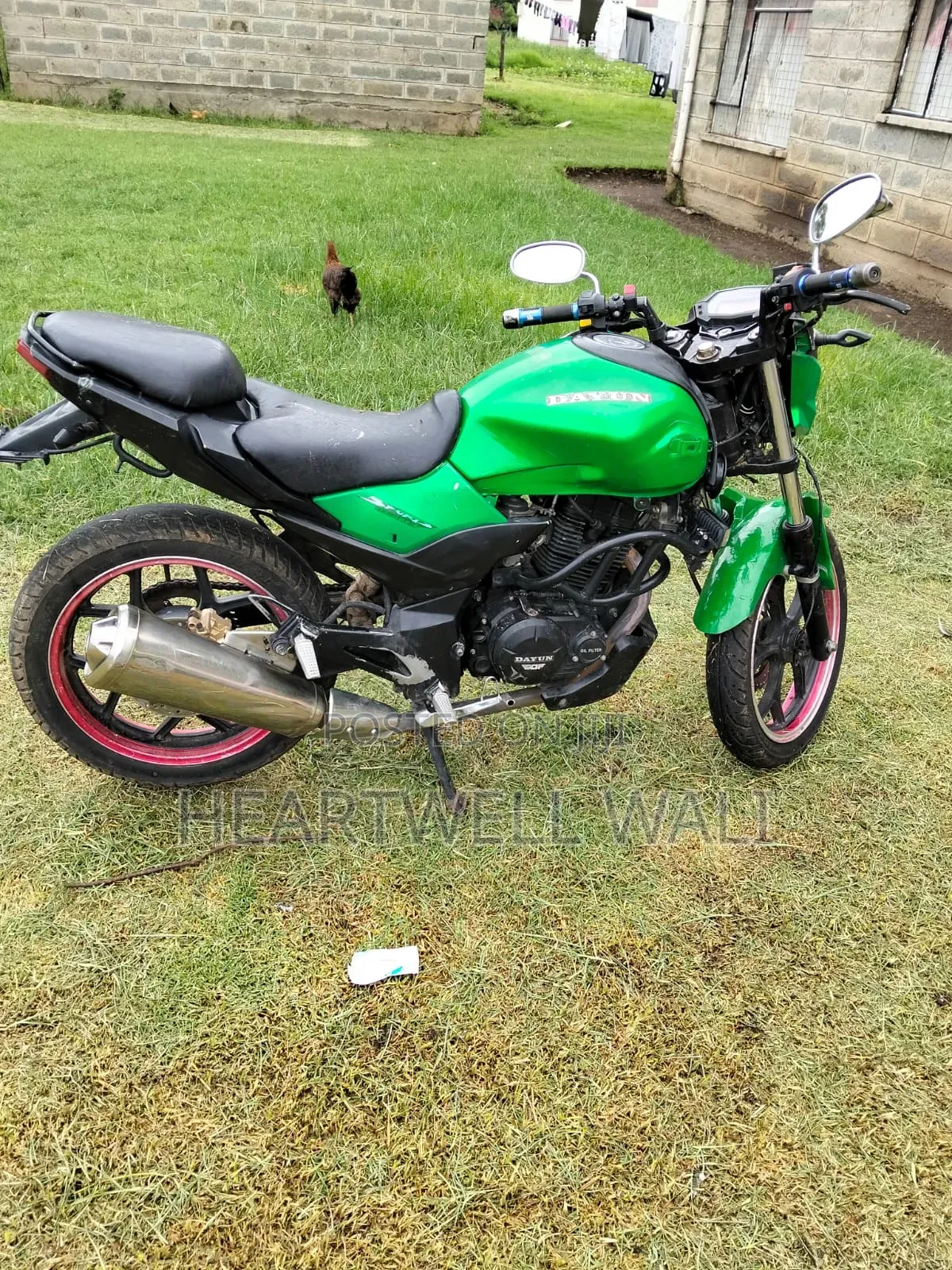 Dayun Deviser 2018 Green
