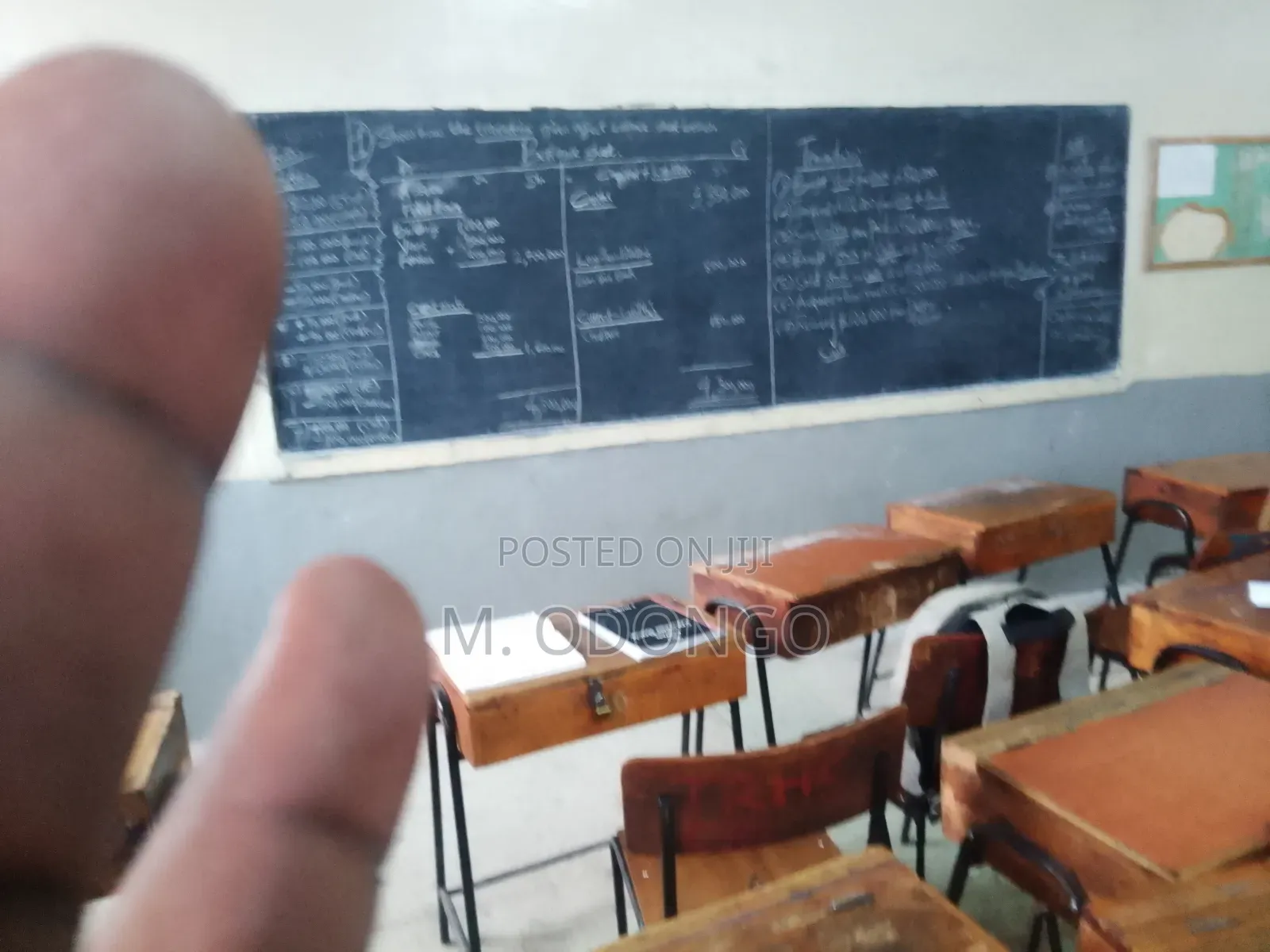 Tutoring Mathematics and Business Studies
