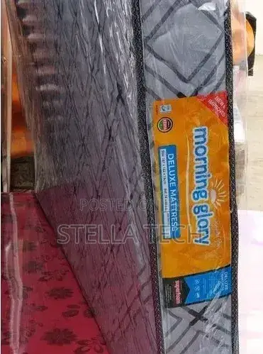 Morning Glory 6 Inches Destiny Plain Matress 4*6
