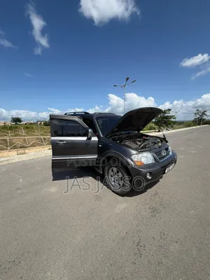 Mitsubishi Shogun 2005 Gray