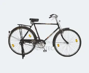 Original Neelam Bicycle