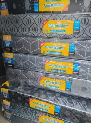 8 Inches High Density Plain Matress 41⁄2*6