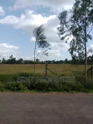 Rare 11.5 Acres on Light Academy Road, Karen
