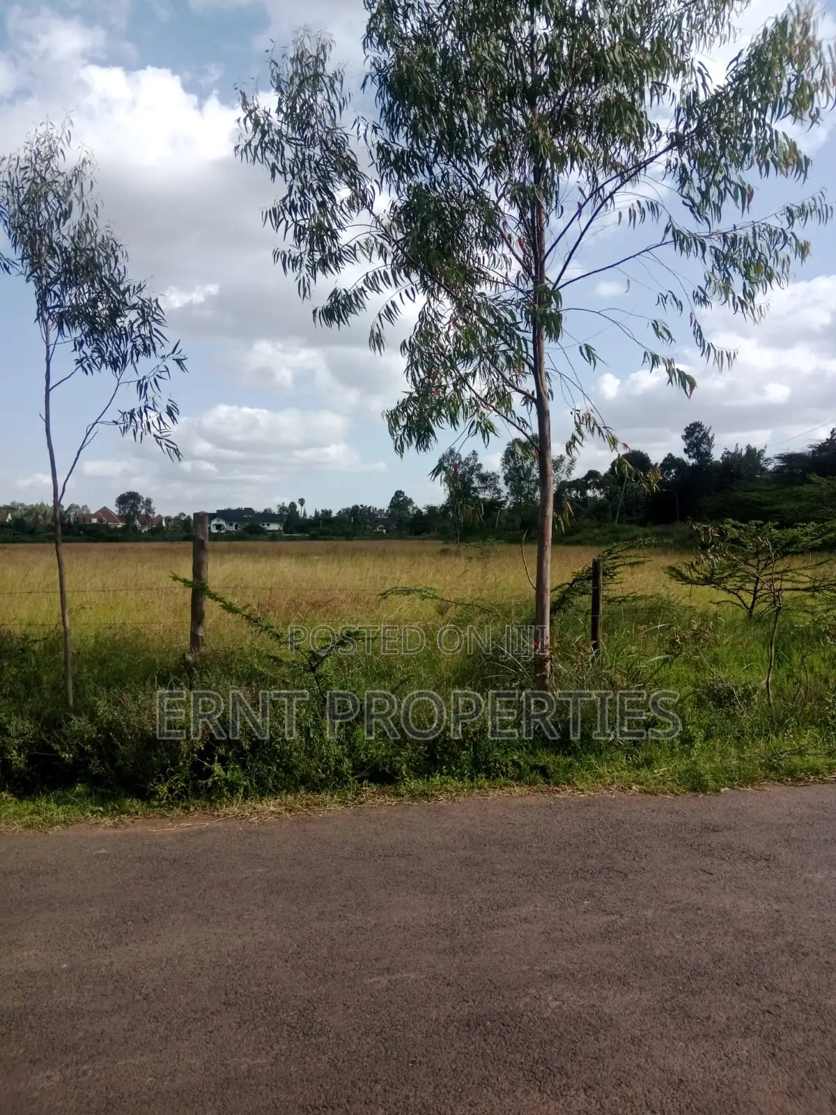 Rare 11.5 Acres on Light Academy Road, Karen