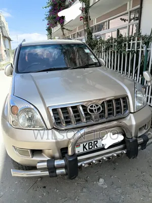 Toyota Land Cruiser Prado 2010 Gray