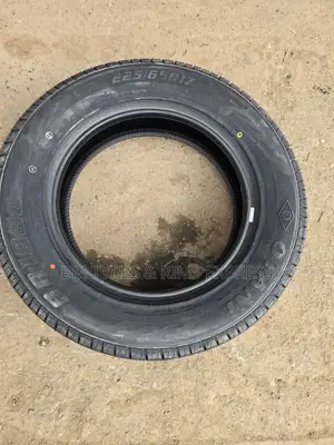 225 /65 R17 Otani Tires (Thailand)