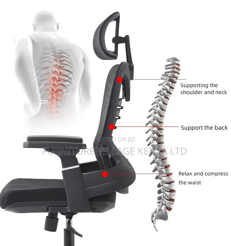 Ergonomic Study Mesh Seat.
