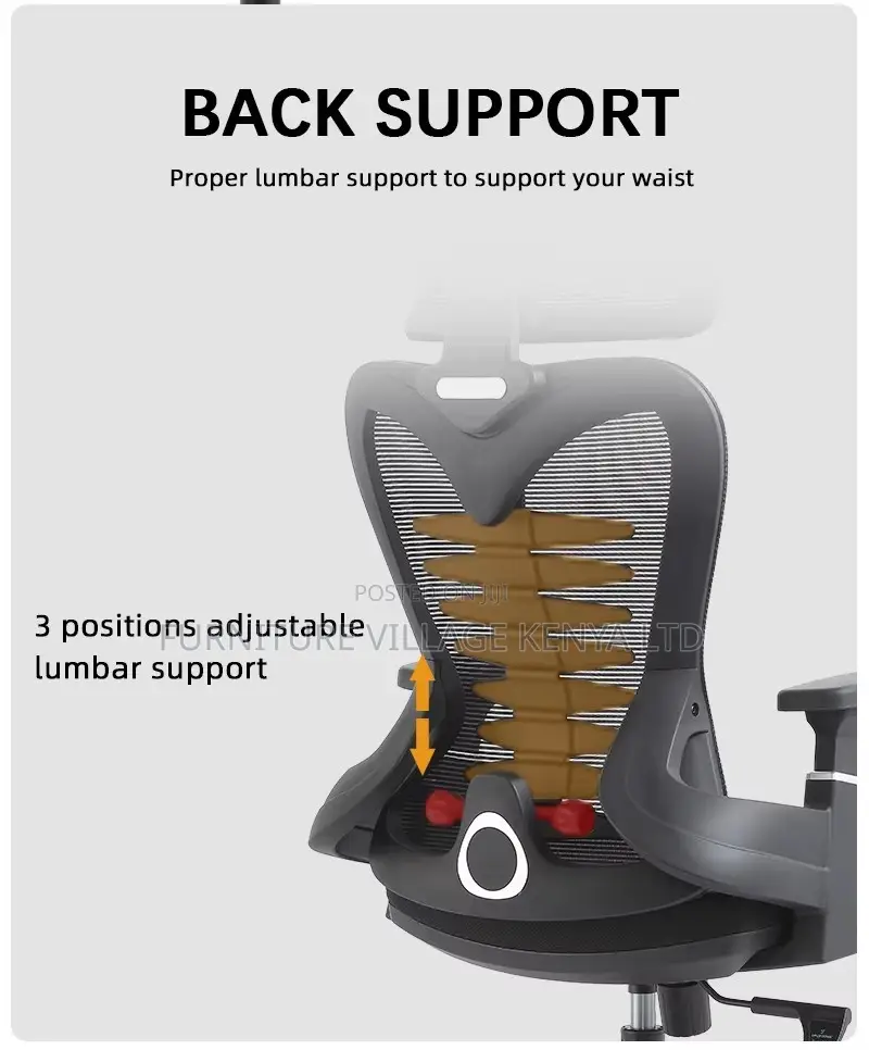 Ergonomic Study Mesh Seat.
