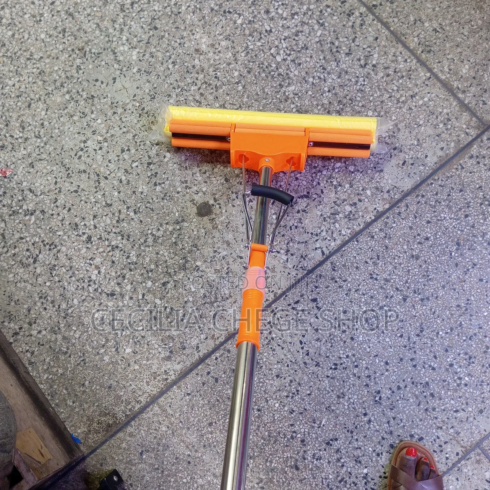 Bathroom Mop