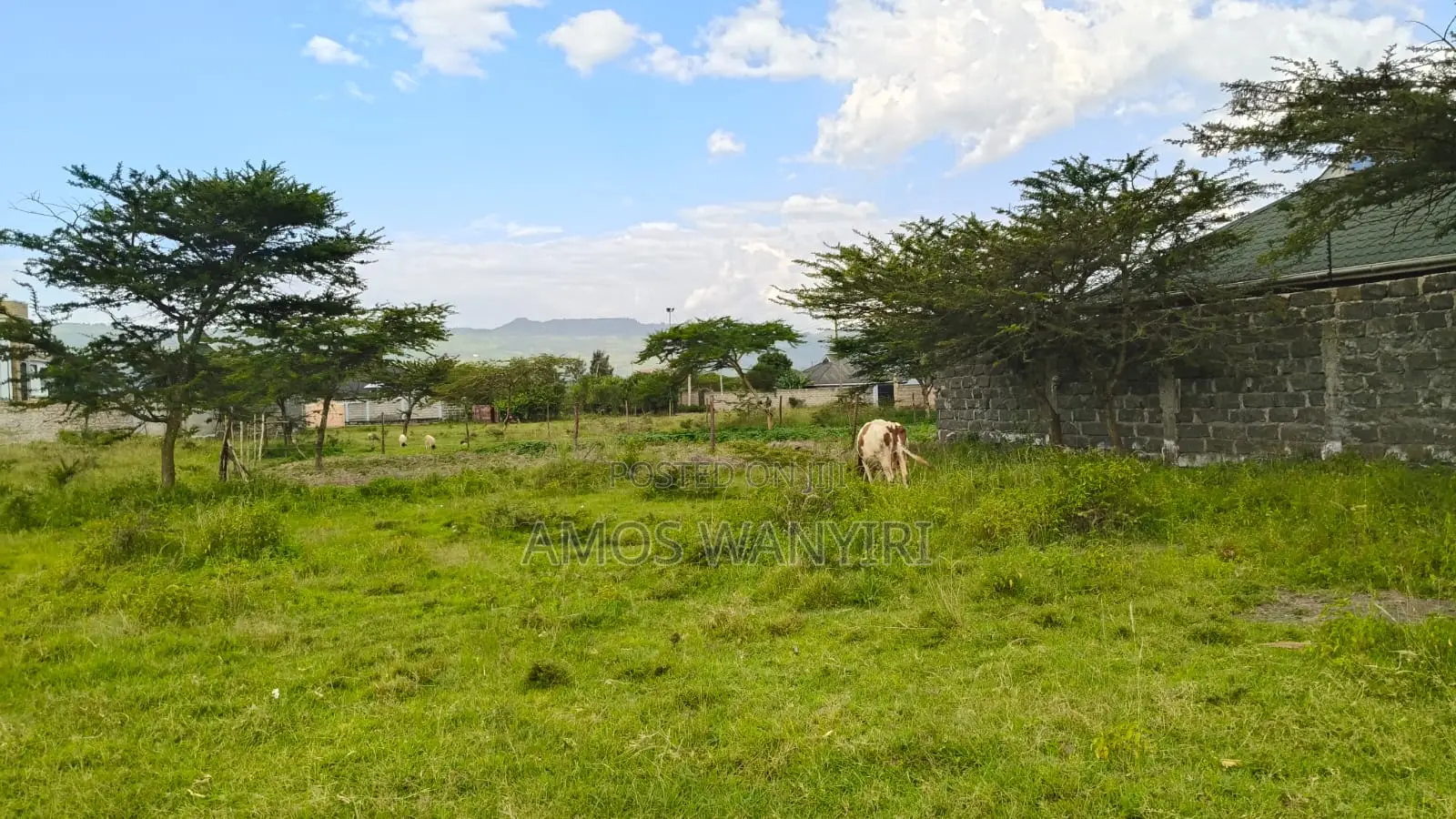 Prime 50*100 Plot in Pema Estate, Nakuru, for Urgent Sale