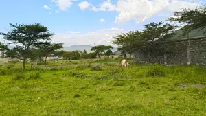 Prime 50*100 Plot in Pema Estate, Nakuru, for Urgent Sale